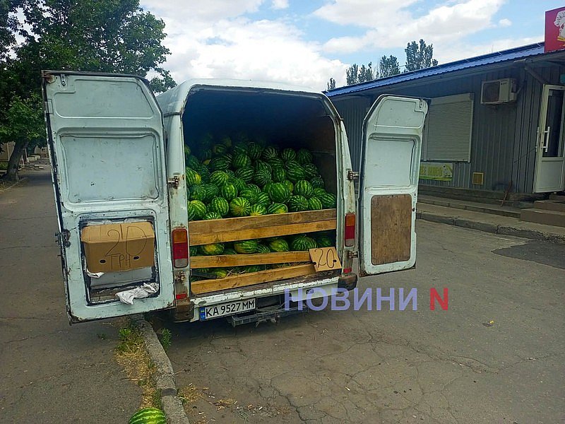У Миколаєві у продажу з'явилися перші кавуни та дині У Миколаєві у продажу з'явилися перші кавуни та дині