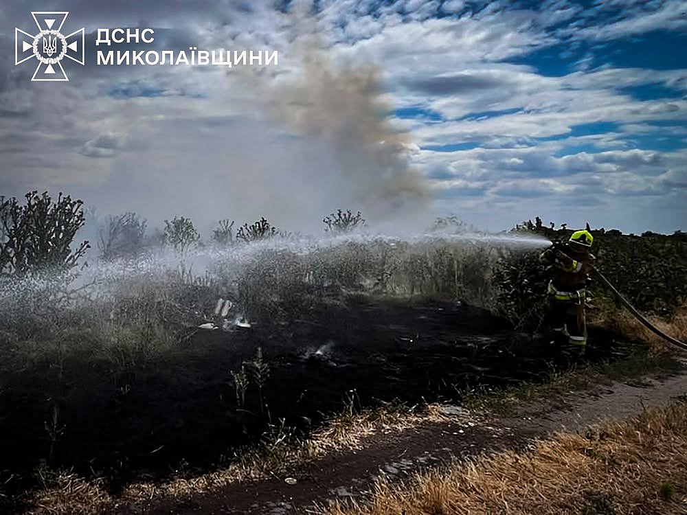 Пожары в Николаевской области: один был из-за обстрелов, площадь превысила 42 га Пожары в Николаевской области: один был из-за обстрелов, площадь превысила 42 га