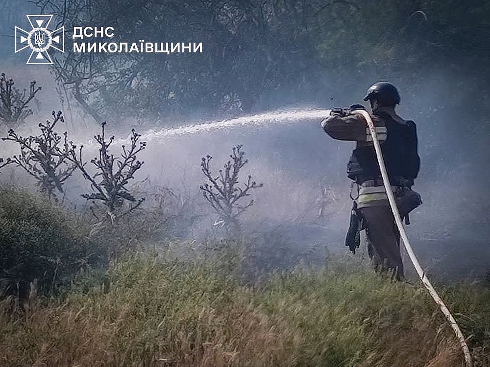 Пожары в Николаевской области: один был из-за обстрелов, площадь превысила 42 га Пожары в Николаевской области: один был из-за обстрелов, площадь превысила 42 га