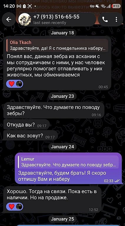 В России продают зебр из украинского заповедника «Аскания-Нова», - СМИ В России продают зебр из украинского заповедника «Аскания-Нова», - СМИ