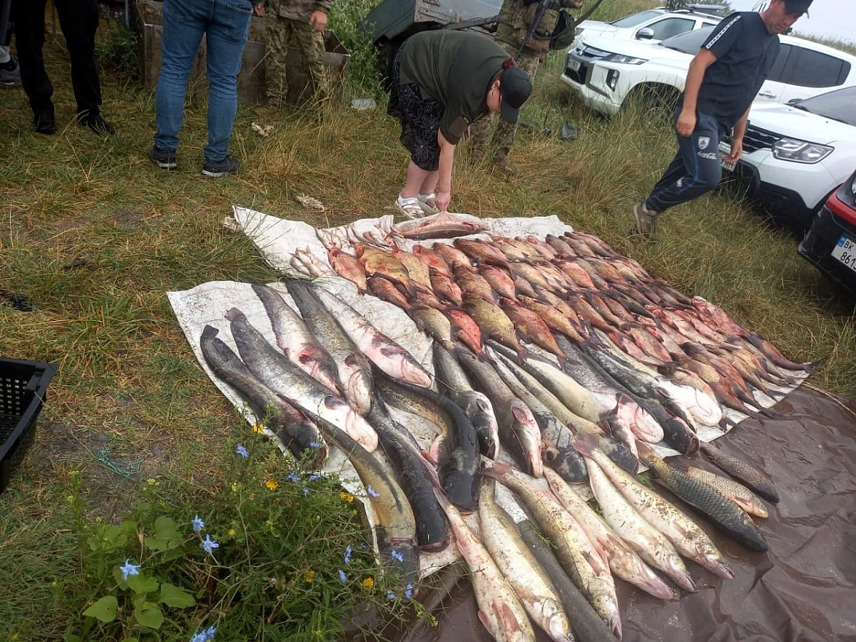 На Бугском лимане задержали браконьера с краснокнижной севрюгой На Бугском лимане задержали браконьера с краснокнижной севрюгой