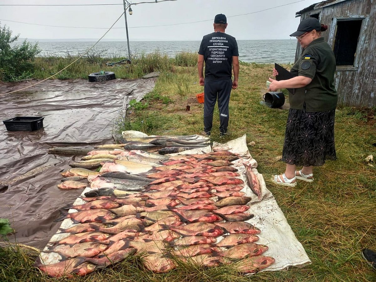 На Бугском лимане задержали браконьера с краснокнижной севрюгой На Бугском лимане задержали браконьера с краснокнижной севрюгой