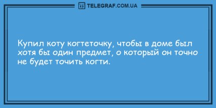 Пятница-развратница: самые позитивные анекдоты на вечер (ФОТО) Пятница-развратница: самые позитивные анекдоты на вечер (ФОТО)