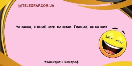 Порция хорошего настроения: лучшая подборка шуток на день Порция хорошего настроения: лучшая подборка шуток на день