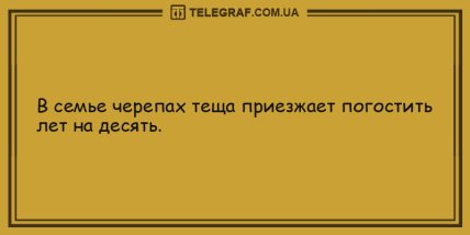 Хороший день, чтобы расслабиться: уморительные анекдоты (ФОТО) Хороший день, чтобы расслабиться: уморительные анекдоты (ФОТО)