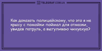 Самое время улыбнуться: вечерние анекдоты для хорошего настроения (ФОТО) Самое время улыбнуться: вечерние анекдоты для хорошего настроения (ФОТО)