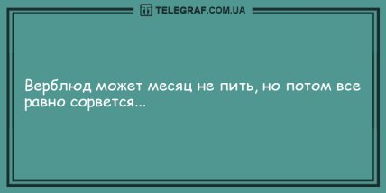 Лучик позитива вам в дом: лучшие анекдоты на вечер (ФОТО) Лучик позитива вам в дом: лучшие анекдоты на вечер (ФОТО)