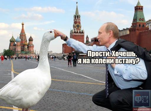 Жабы дня: гуси готовят войну против Путина