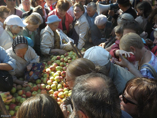 Петербуржцы за 15 минут \"рассовали по карманам\" 2 тонны бесплатных  яблок (фото)
