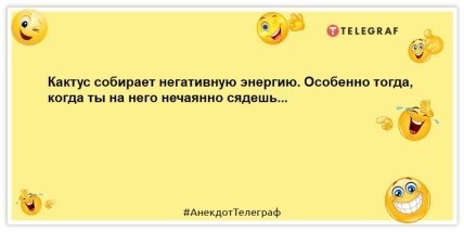 Правильная мысль чаще всего появляется после хорошего подзатыльника: анекдоты, которые развеселят (ФОТО) Правильная мысль чаще всего появляется после хорошего подзатыльника: анекдоты, которые развеселят (ФОТО)