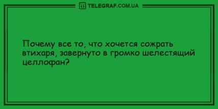 Все, что вам нужно, это хорошее настроение: подборка веселых анекдотов Все, что вам нужно, это хорошее настроение: подборка веселых анекдотов