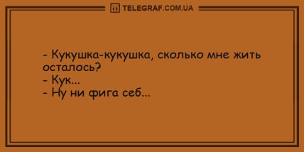 Смех не сдержать: самые смешные анекдоты на день (ФОТО) Смех не сдержать: самые смешные анекдоты на день (ФОТО)