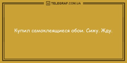 Угорала даже Несмеяна: вечерние анекдоты, которые вас рассмешат Угорала даже Несмеяна: вечерние анекдоты, которые вас рассмешат