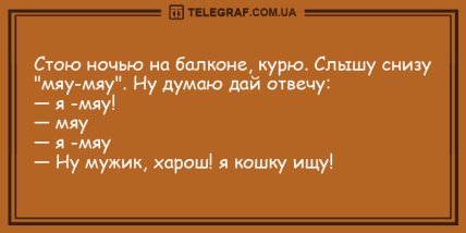 Угорала даже Несмеяна: вечерние анекдоты, которые вас рассмешат Угорала даже Несмеяна: вечерние анекдоты, которые вас рассмешат