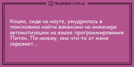 Да прибудет с вами смех! Юморные вечерние анекдоты Да прибудет с вами смех! Юморные вечерние анекдоты