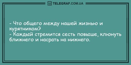 Капля свежего позитива: смешные анекдоты на день (ФОТО) Капля свежего позитива: смешные анекдоты на день (ФОТО)