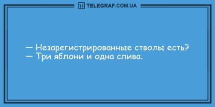 Прочитал прикольчик - получил задорчик: веселые анекдоты на утро (ФОТО) Прочитал прикольчик - получил задорчик: веселые анекдоты на утро (ФОТО)