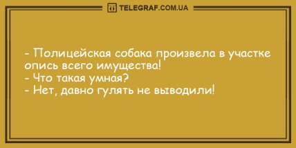 Для печали нет причин: самые отпадные шутки на день (ФОТО) Для печали нет причин: самые отпадные шутки на день (ФОТО)