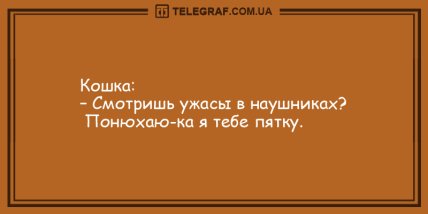 Нереальный заряд позитива: смешные анекдоты (ФОТО) Нереальный заряд позитива: смешные анекдоты (ФОТО)