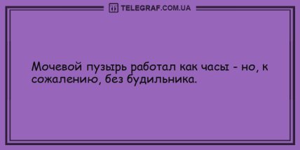 Настроение не покинет вас: прикольные анекдоты на день (ФОТО) Настроение не покинет вас: прикольные анекдоты на день (ФОТО)