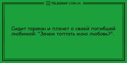 Настроение не покинет вас: прикольные анекдоты на день (ФОТО) Настроение не покинет вас: прикольные анекдоты на день (ФОТО)