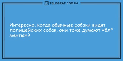 Минутка веселья: подборка анекдотов для удачного дня (ФОТО) Минутка веселья: подборка анекдотов для удачного дня (ФОТО)