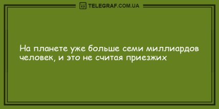 Немного веселья никогда не помешает: новая порция шуток на вечер Немного веселья никогда не помешает: новая порция шуток на вечер