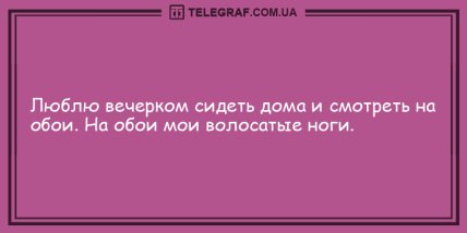 Немного веселья никогда не помешает: новая порция шуток на вечер Немного веселья никогда не помешает: новая порция шуток на вечер
