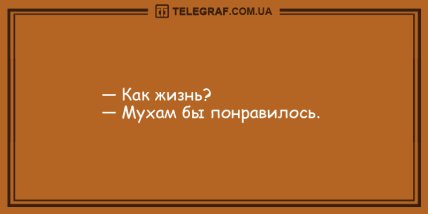 Заразите остальных своим смехом: анекдоты на вечер (ФОТО) Заразите остальных своим смехом: анекдоты на вечер (ФОТО)
