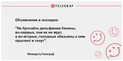Шутки, которые сделают ваш день незабываемым: подборка веселых анекдотов Шутки, которые сделают ваш день незабываемым: подборка веселых анекдотов