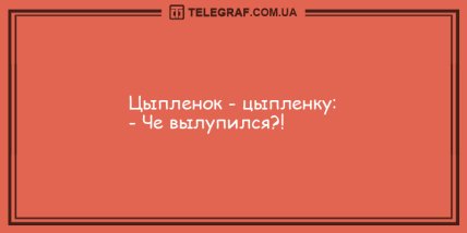 Озарите мир улыбкой в этот день: новая порция смешных анекдотов Озарите мир улыбкой в этот день: новая порция смешных анекдотов