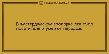 Лекарство от скуки заказывали? Подборка смешных анекдотов для настроения Лекарство от скуки заказывали? Подборка смешных анекдотов для настроения