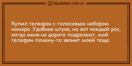 Много смеха и позитива в этот солнечный день: новые шутки Много смеха и позитива в этот солнечный день: новые шутки