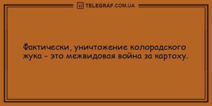 Долой скуку и плохое настроение: подборка веселых анекдотов на вечер (ФОТО) Долой скуку и плохое настроение: подборка веселых анекдотов на вечер (ФОТО)
