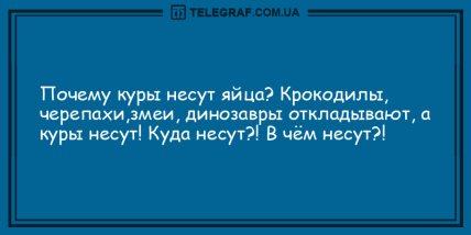 Нет времени для грусти: вечерние анекдоты, которые на дадут вам заскучать (ФОТО) Нет времени для грусти: вечерние анекдоты, которые на дадут вам заскучать (ФОТО)