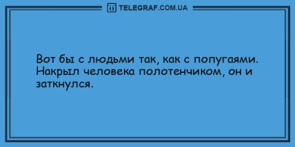 Грусть, давай, до свидания: смешные анекдоты на день (ФОТО) Грусть, давай, до свидания: смешные анекдоты на день (ФОТО)