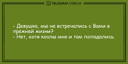 Пятница - повод для радости: юморные вечерние анекдоты 