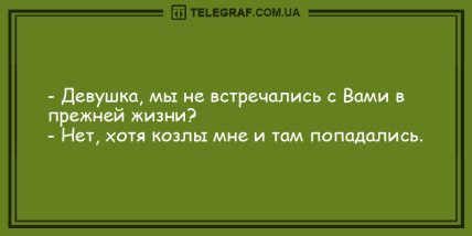 Пятница - повод для радости: юморные вечерние анекдоты Пятница - повод для радости: юморные вечерние анекдоты