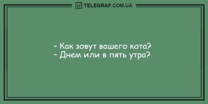 Разнообразьте этот вечер забавными анекдотами (ФОТО) Разнообразьте этот вечер забавными анекдотами (ФОТО)