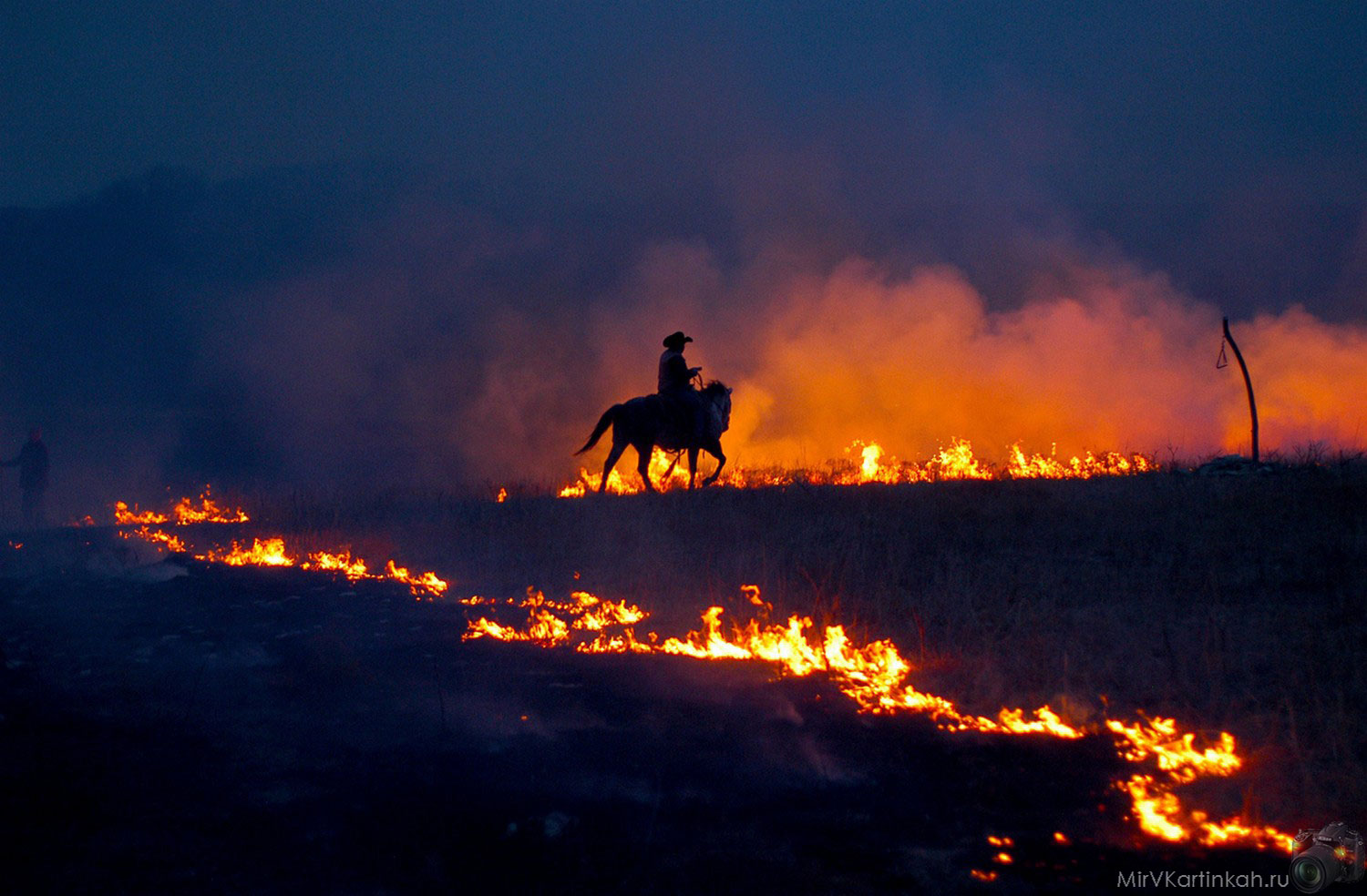 26-й фотоконкурс National Geographic