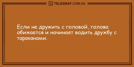 Лучшее лекарство - это смех: анекдоты, которые сделают ваш вечер веселым (ФОТО) Лучшее лекарство - это смех: анекдоты, которые сделают ваш вечер веселым (ФОТО)