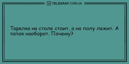 Озарите мир улыбкой в это утро: свежие шуточки (ФОТО) Озарите мир улыбкой в это утро: свежие шуточки (ФОТО)