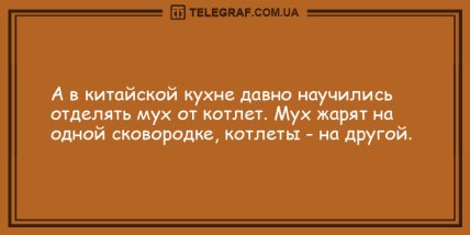 Самое время улыбнуться: анекдоты для хорошего настроения (ФОТО) Самое время улыбнуться: анекдоты для хорошего настроения (ФОТО)