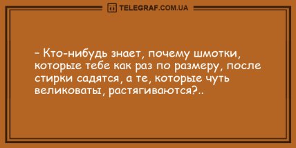 Порция \"негрустина\": забавные анекдоты на вечер (ФОТО) Порция \"негрустина\": забавные анекдоты на вечер (ФОТО)