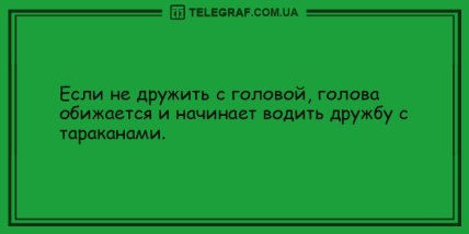 Порция заразного смеха: уморительные вечерние анекдоты (ФОТО) Порция заразного смеха: уморительные вечерние анекдоты (ФОТО)