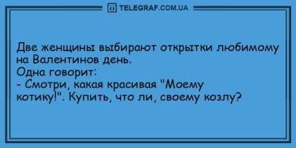 Этот прикол оценил даже слон: забавные анекдоты в этот вечер (ФОТО) Этот прикол оценил даже слон: забавные анекдоты в этот вечер (ФОТО)