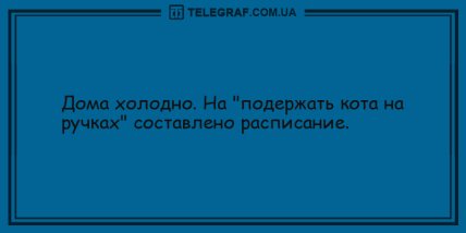 Этот прикол оценил даже слон: забавные анекдоты в этот вечер (ФОТО) Этот прикол оценил даже слон: забавные анекдоты в этот вечер (ФОТО)
