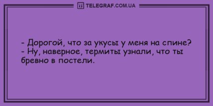 Украсим ваше утро веселыми анекдотами (ФОТО) Украсим ваше утро веселыми анекдотами (ФОТО)