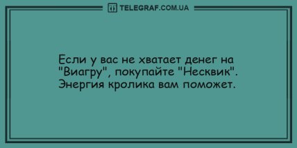 Украсим ваше утро веселыми анекдотами (ФОТО) Украсим ваше утро веселыми анекдотами (ФОТО)
