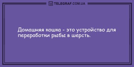 Поднимут настроение каждому: порция прикольных анекдотов на утро (ФОТО) Поднимут настроение каждому: порция прикольных анекдотов на утро (ФОТО)
